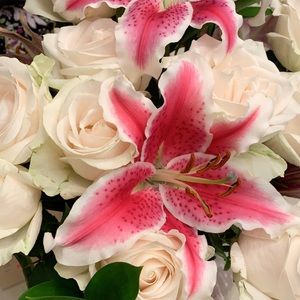 Meet your Posher, Olivia